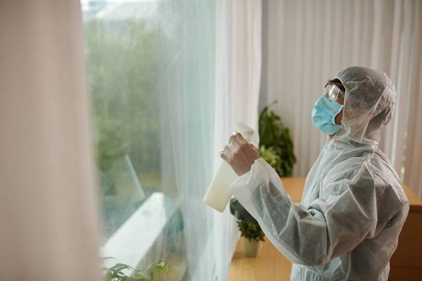 Entreprise anti nuisible : solutions efficaces pour votre sécurité